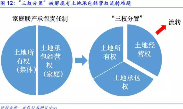 村集体经济资产总量是指_资产负债表(3)