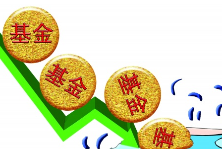 交易所基金 公募_广州醒狮队公募图片_公募